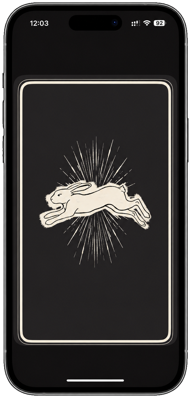 RUN card back featuring a hand-drawn rabbit and radiating lines